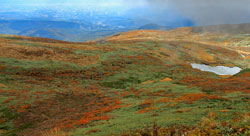 花の山/水の山/紅葉の山/焼石岳・中沼コースを歩く