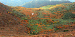 花の山/水の山/紅葉の山/焼石岳・中沼コースを歩く