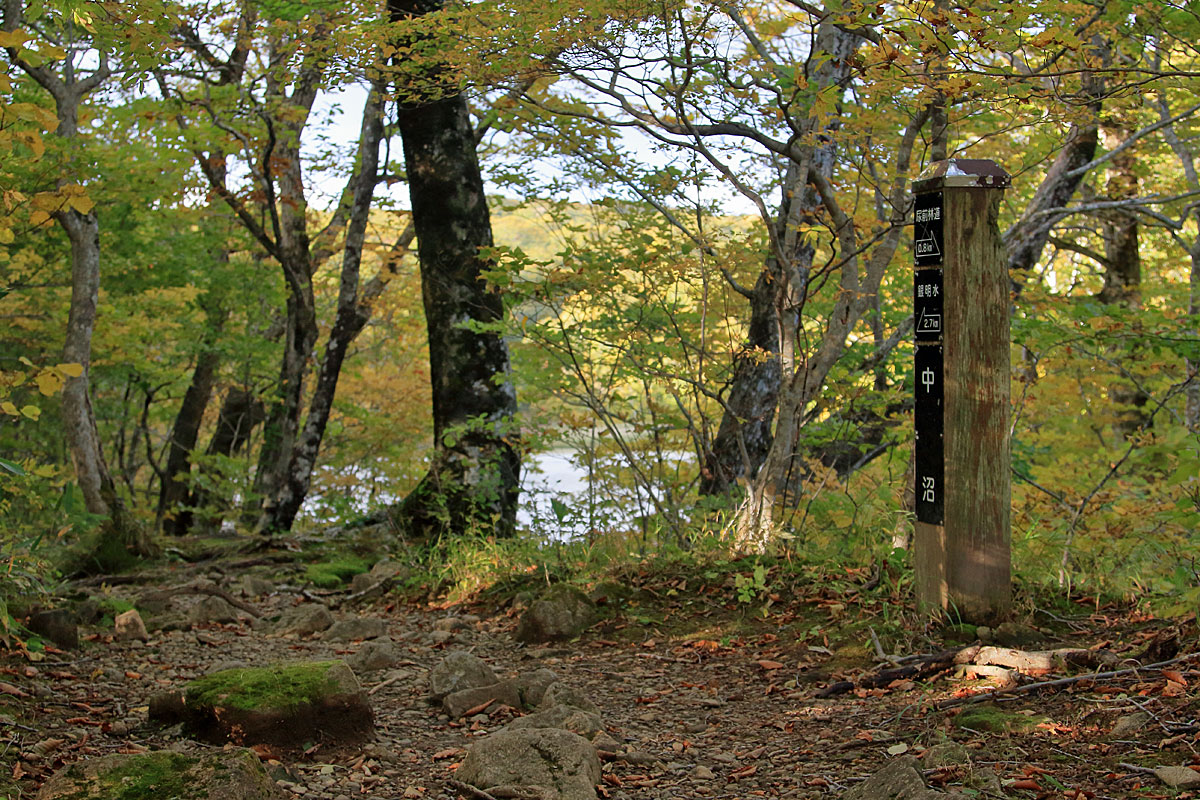 川の中の木道を歩く（中沼登山口）