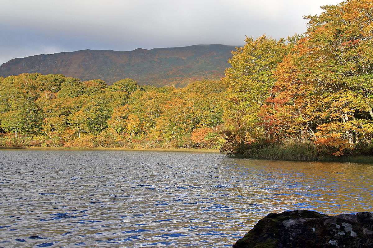 水面ギリギリの登山道（中沼）