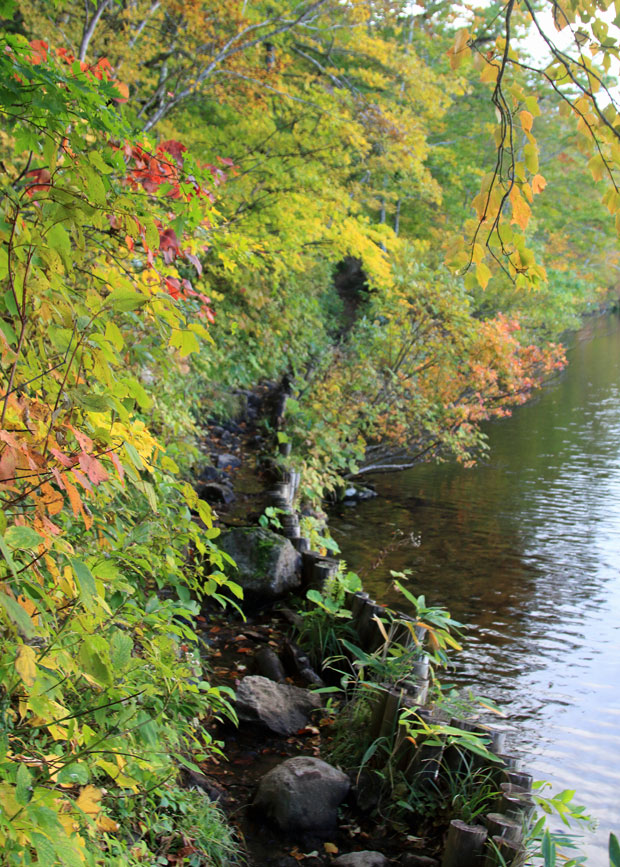 水面ギリギリの登山道（中沼）