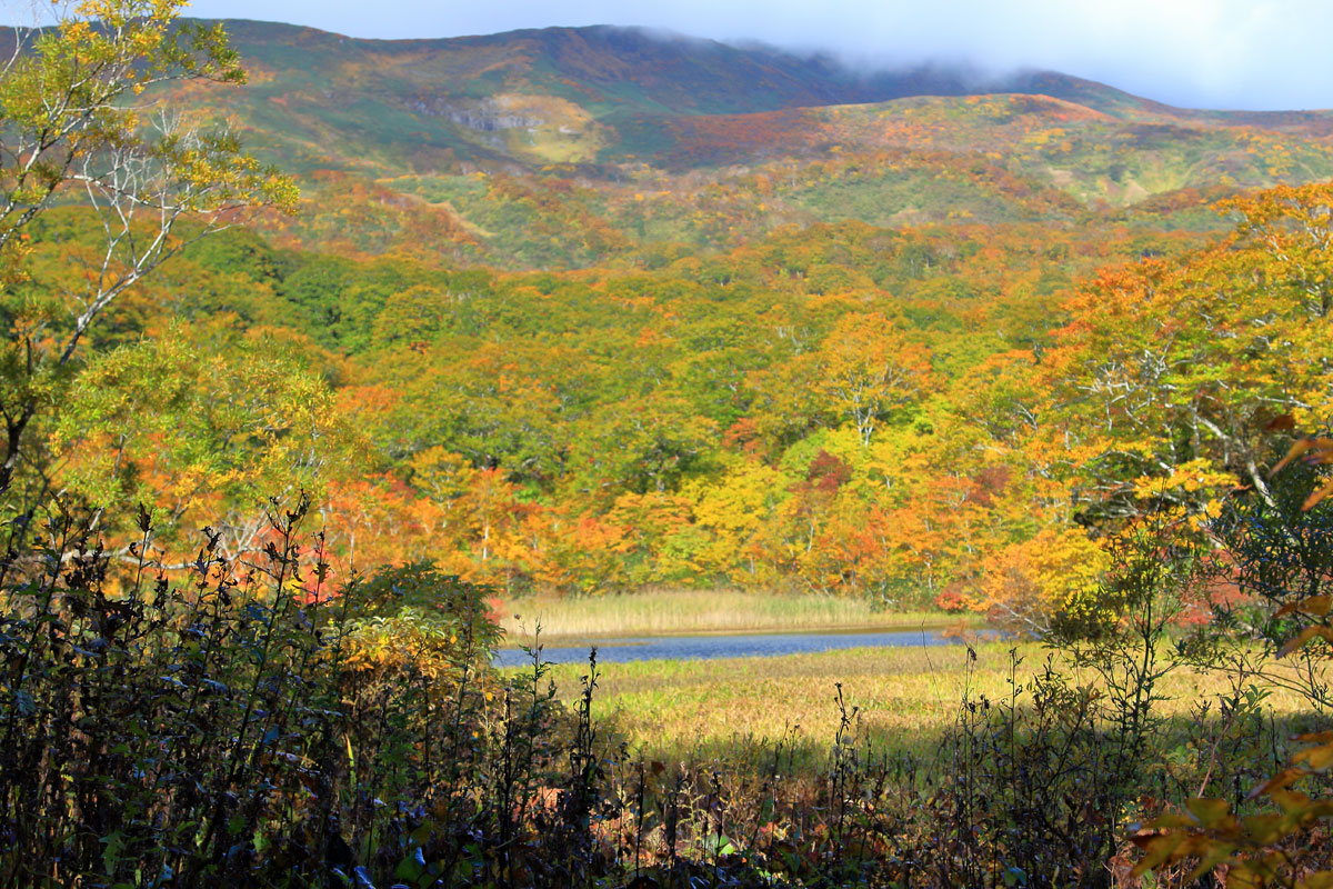 花の山/水の山/紅葉の山/焼石岳・中沼コースを歩く