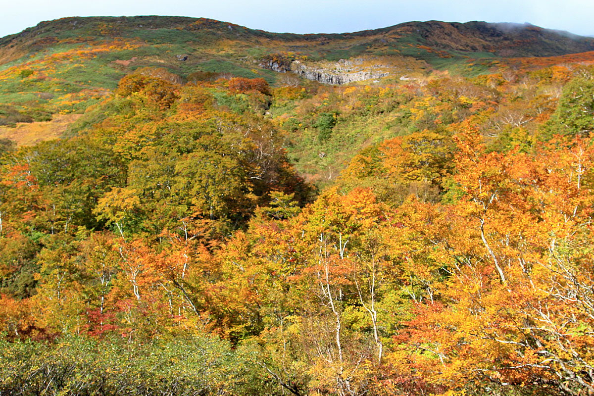 花の山/水の山/紅葉の山/焼石岳・中沼コースを歩く