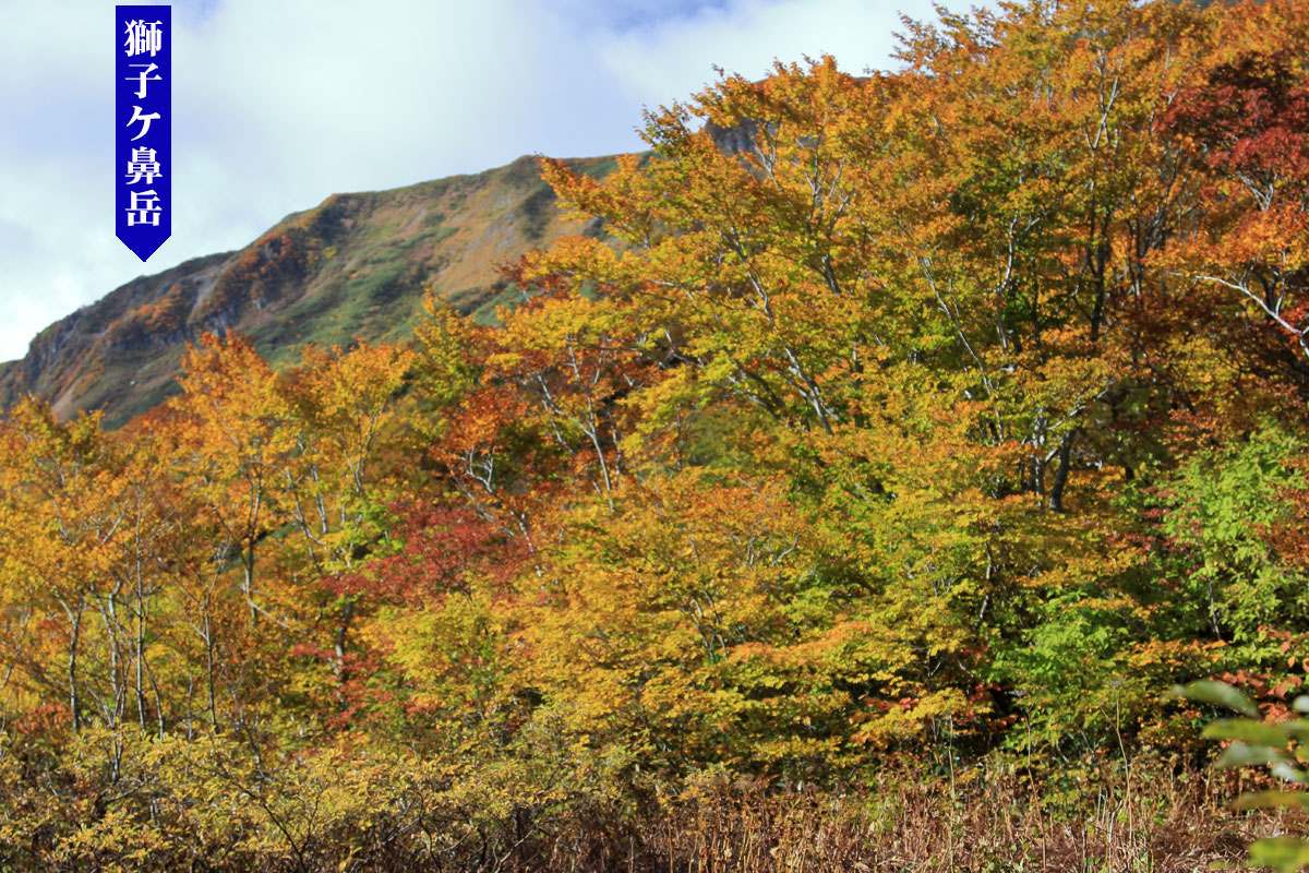 花の山/水の山/紅葉の山/焼石岳・中沼コースを歩く