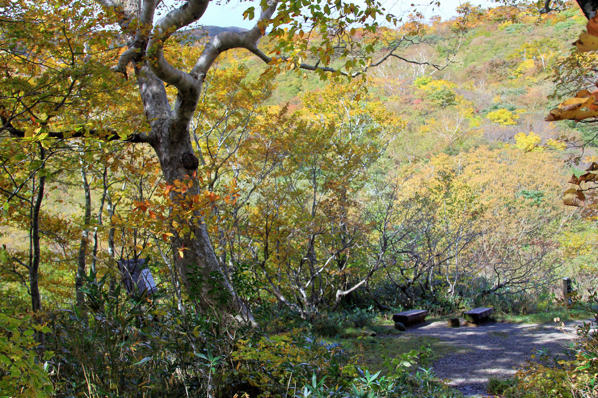 水面ギリギリの登山道（中沼）