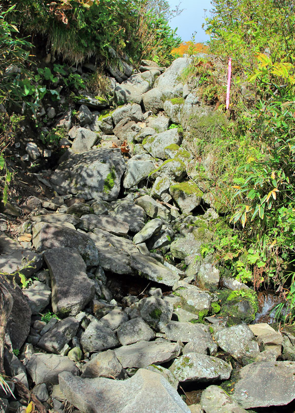 花の山/水の山/紅葉の山/焼石岳・中沼コースを歩く