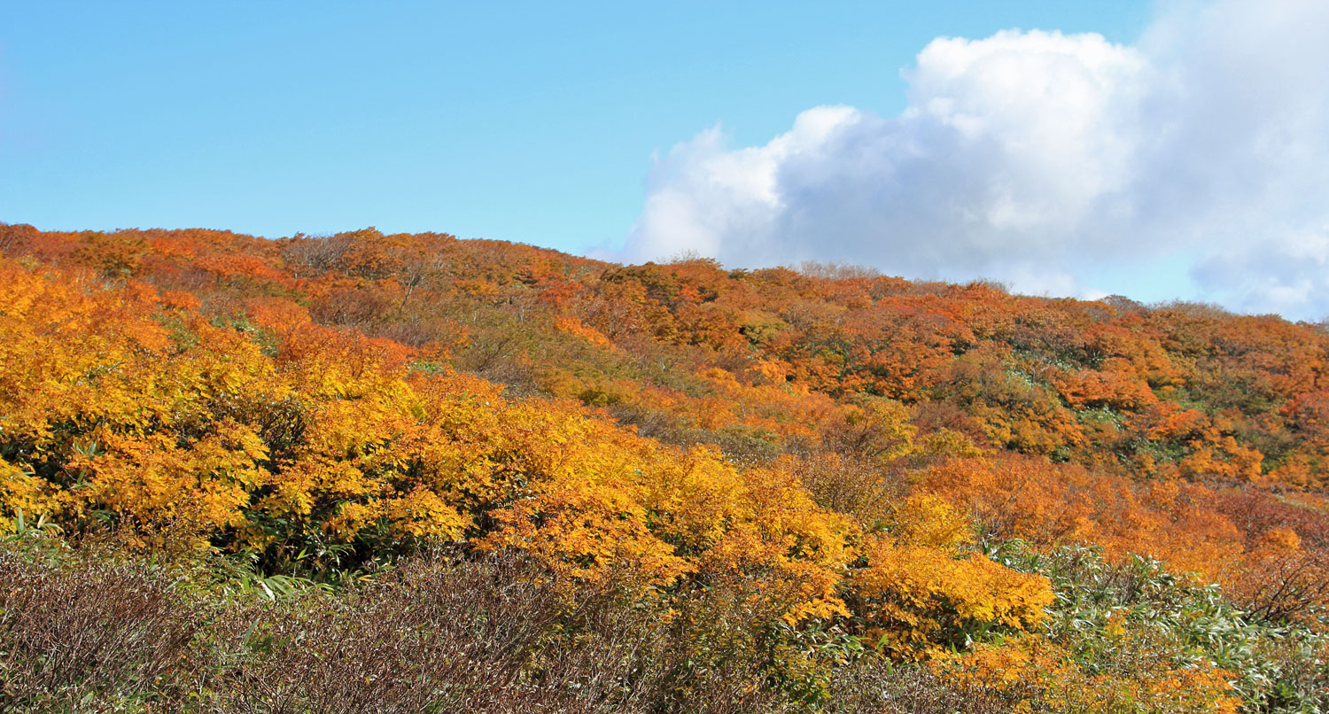 水面ギリギリの登山道（中沼）
