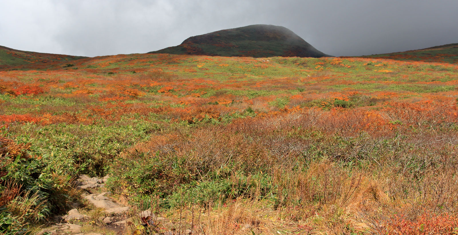 花の山/水の山/紅葉の山/焼石岳・中沼コースを歩く