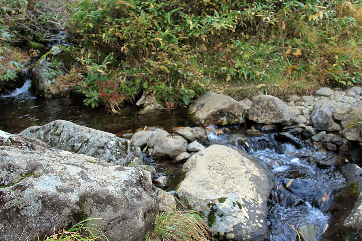 水面ギリギリの登山道（中沼）