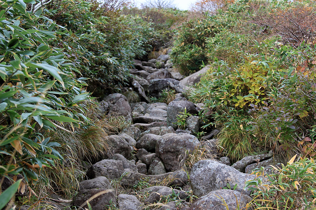 水面ギリギリの登山道(中沼)