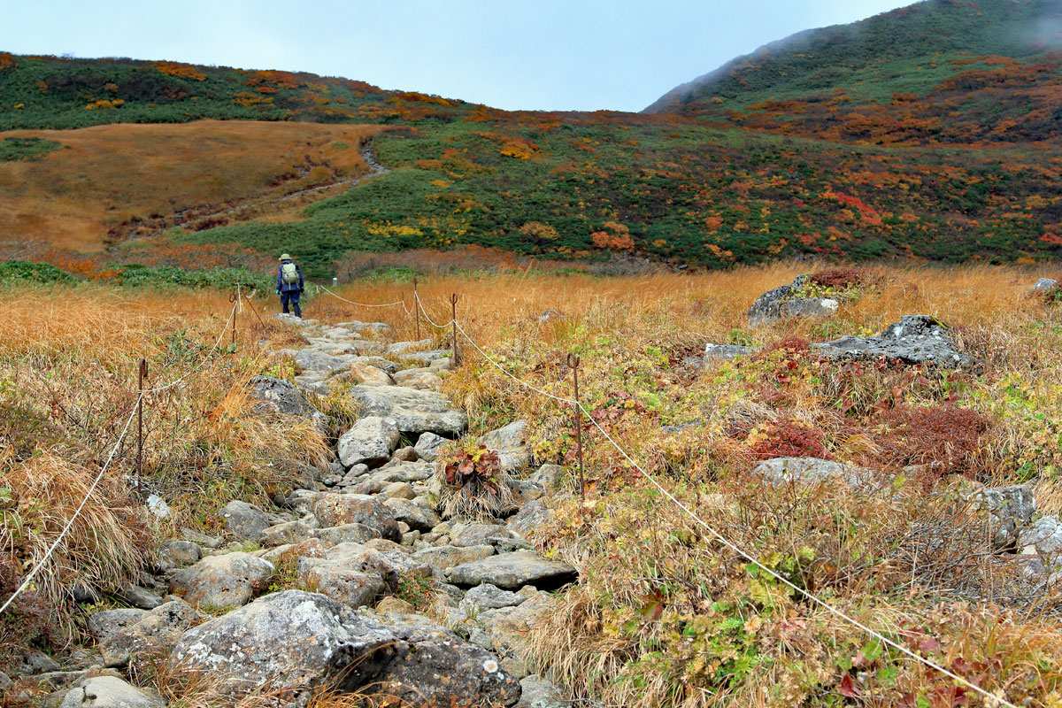 花の山/水の山/紅葉の山/焼石岳・中沼コースを歩く