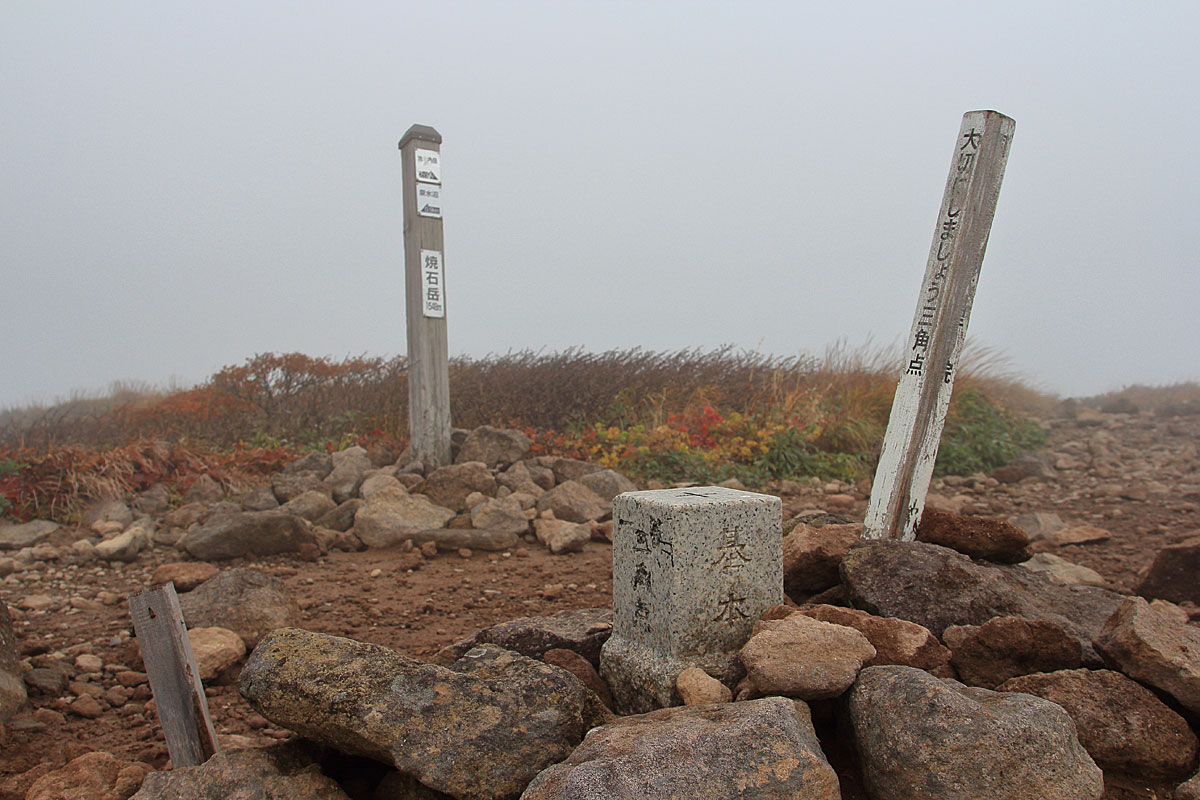花の山/水の山/紅葉の山/焼石岳・中沼コースを歩く
