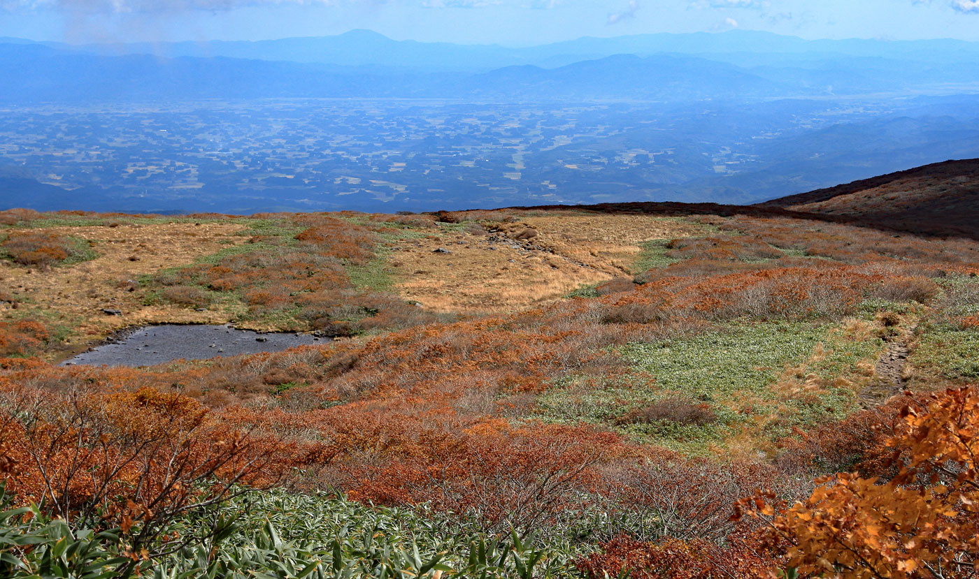 花の山/水の山/紅葉の山/焼石岳・中沼コースを歩く