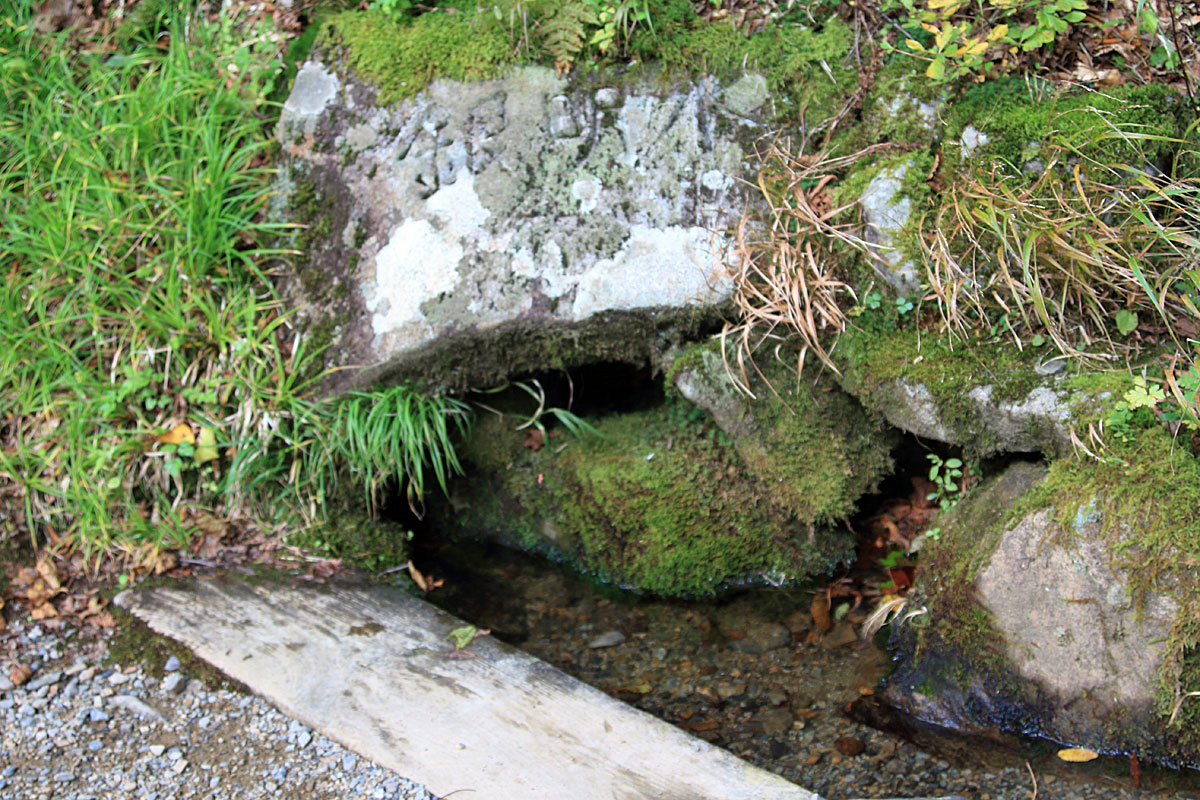 水面ギリギリの登山道（中沼）