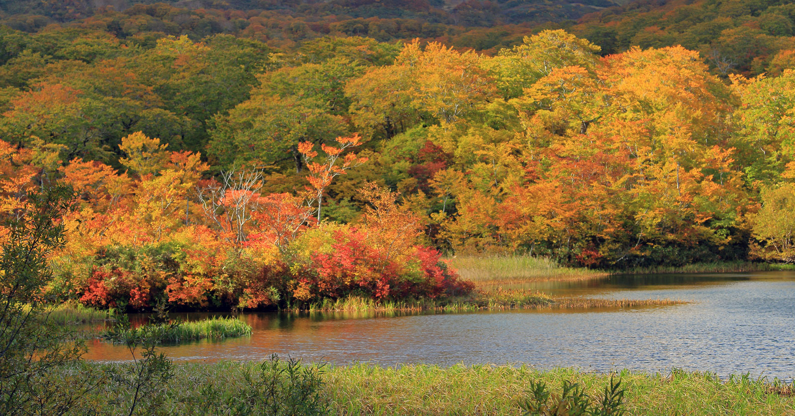 花の山/水の山/紅葉の山/焼石岳・中沼コースを歩く